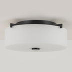 2-Light Modern Flush Mount Ceiling Light Clear Glass Shade Kitchen