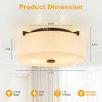 2-Light Modern Flush Mount Ceiling Light Clear Glass Shade Kitchen