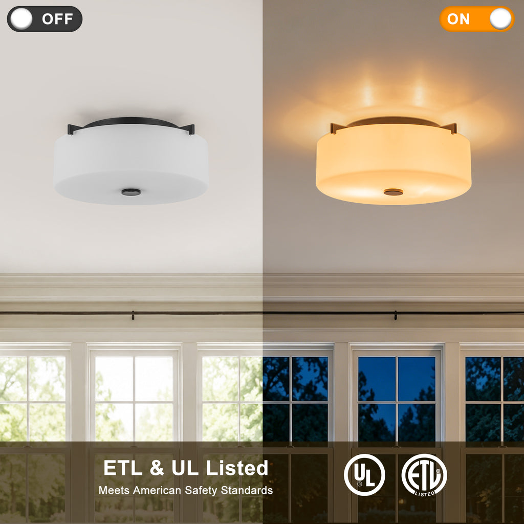 2-Light Modern Flush Mount Ceiling Light Clear Glass Shade Kitchen