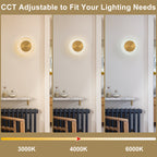 7.48 in. Modern Brass Round Dimmable Integrated LED Wall Sconce Clear Glass Bathroom Vanity Light