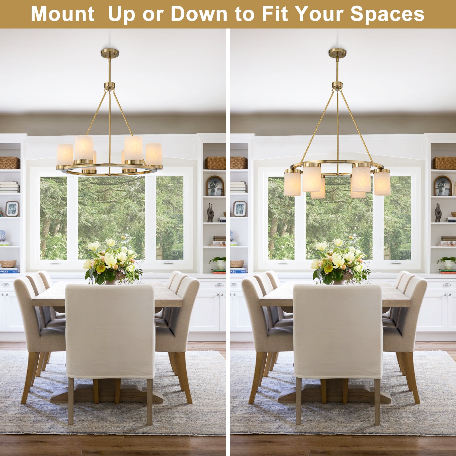26 in. 6-Light Modern Brass Metal Chandelier with Cylinder Glass Shades for Kitchen Island, Dining Room