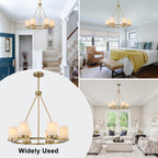 26 in. 6-Light Modern Brass Metal Chandelier with Cylinder Glass Shades for Kitchen Island, Dining Room