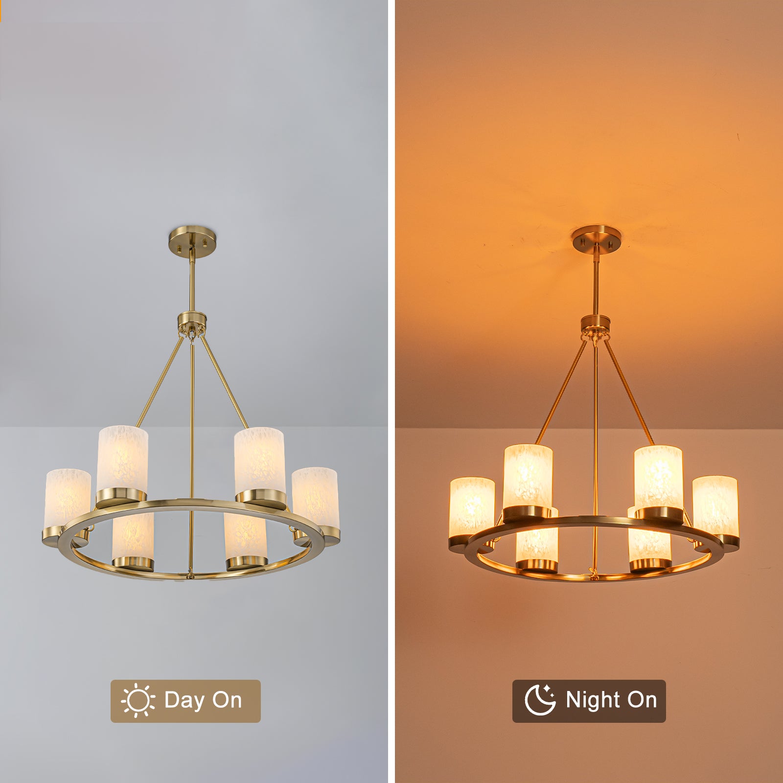 26 in. 6-Light Modern Brass Metal Chandelier with Cylinder Glass Shades for Kitchen Island, Dining Room
