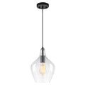 Matte Black Clear Glass Ceramic Single Pendant Light | SKU 81010000088868 | A81010000088868 (3).jpg