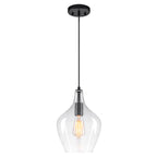 Matte Black Clear Glass Ceramic Single Pendant Light | SKU 81010000088868 | A81010000088868 (3).jpg