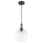Matte Black Clear Glass Ceramic Single Pendant Light | SKU 81010000088868 | A81010000088868 (2).jpg