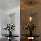 Natural Brass Light Brass Clear Glass Ceramic Single Pendant Light | SKU 81010000091488 | A81010000091488 (8).jpg