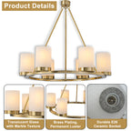 26 in. 6-Light Modern Brass Metal Chandelier with Cylinder Glass Shades for Kitchen Island, Dining Room