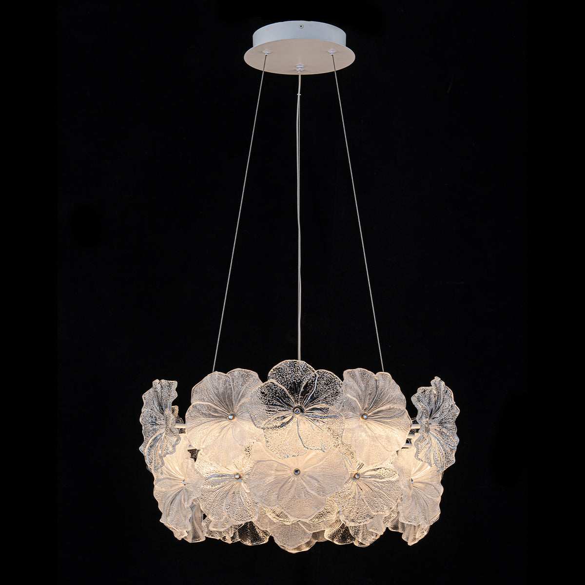 Modern LED Chandelier Clear & Frosted Glass Floral Petals Dimmable - product image 11 | Zenvolit