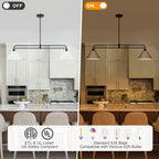 2-Light Matte Black Linear Chandelier with White Conical Iron Shades - product image 9 | Zenvolit