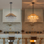 20.5" 4-Light Farmhouse Rope Chandelier Cone Shades Clear Glass Balls - product image 8 | Zenvolit