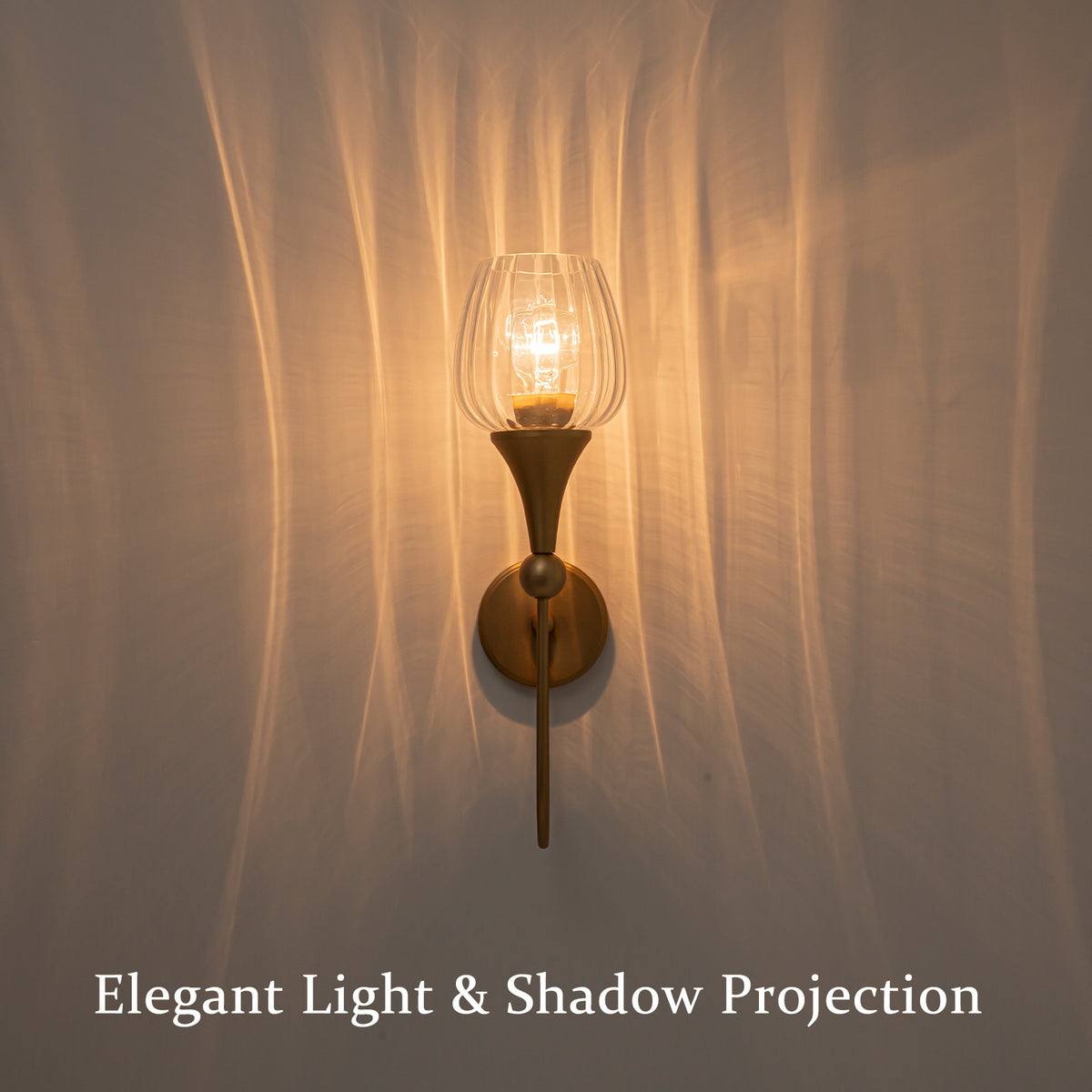Matte Brass Wall Sconce with Clear Ribbed Glass Shade Living Room - product image 5 | Zenvolit
