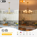 6-Light Modern Hanging Chandelier Textured Glass Globe Shades Dining