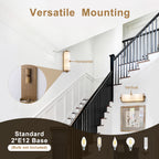 2-Light Antique Brass Cylinder Wall Sconce Frosted Glass Shade - product image 9 | Zenvolit