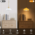Modern Glass Pendant Lighting Ribbed Dome Shade Kitchen Island Light - product image 7 | Zenvolit